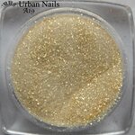 Urban Nails Color Acryl A19 goud shimmer