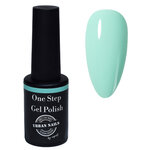 One Step Gel Polish |OSGP11