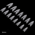 Sandwich Dual Forms - Almond