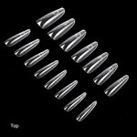 Sandwich Dual Forms - Almond