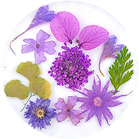 Dried Flowers 05