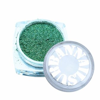 Biodegradable Glitter Dust 07