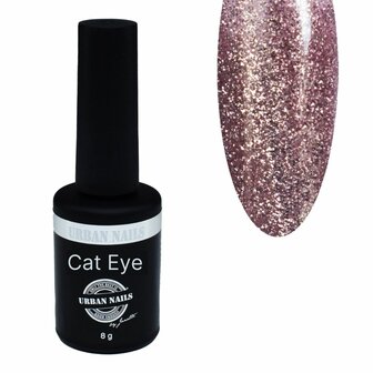 Brilliant Cat Eye Gel Polish 02 8g