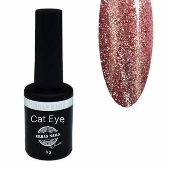 Brilliant Cat Eye Gel Polish 08 8g