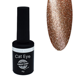 Brilliant Cat Eye Gel Polish 17 8g