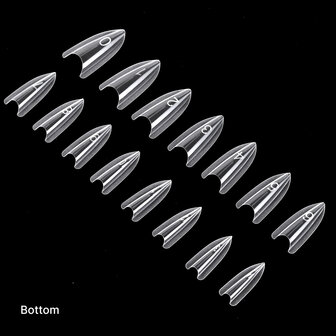 Sandwich Dual Forms - Almond