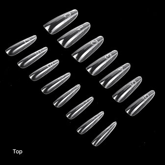 Sandwich Dual Forms - Almond