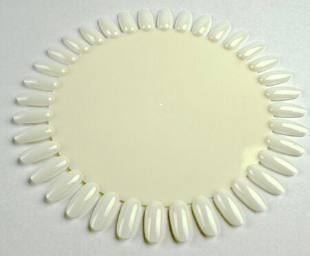 Madelief groot Naturel