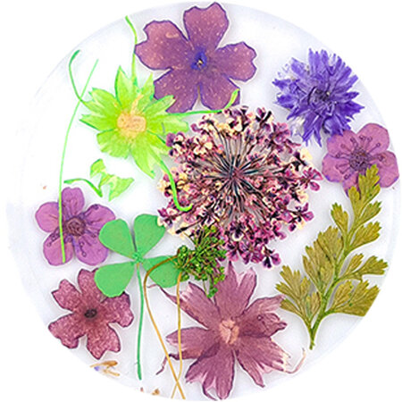 Dried Flowers 02