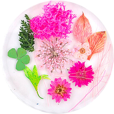 Dried Flowers 04