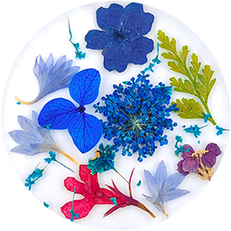 Dried Flowers 06