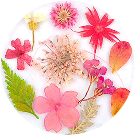 Dried Flowers 08