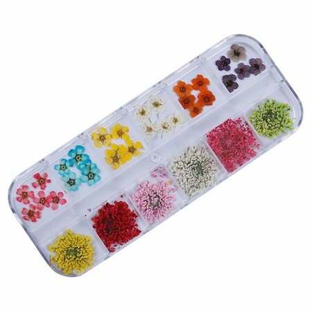 Dried Flowers Box 1