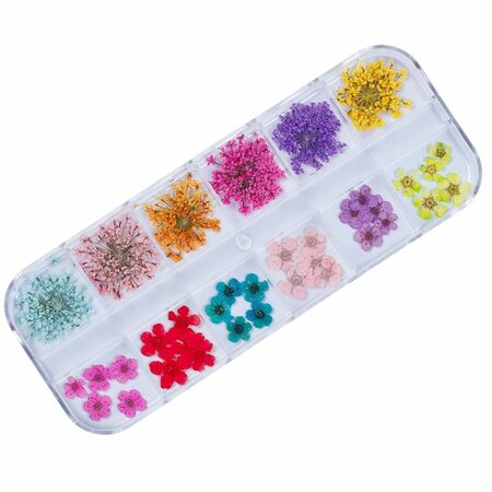 Dried Flowers Box 2