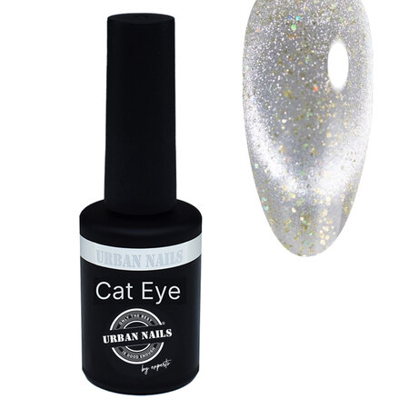 Cat Eye Gel Polish 19-A 