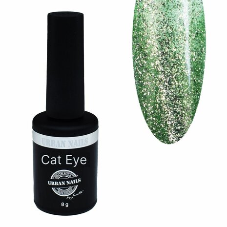 Brilliant Cat Eye Gel Polish 05 8g