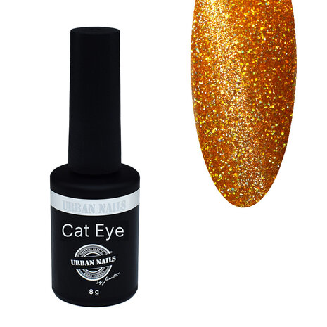 Brilliant Cat Eye Gel Polish 11 8g