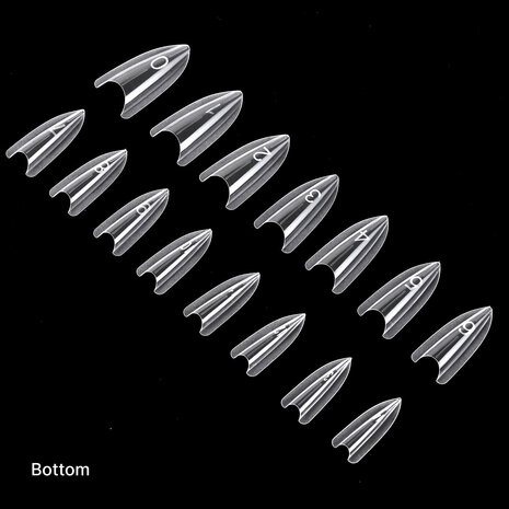 Sandwich Dual Forms - Almond