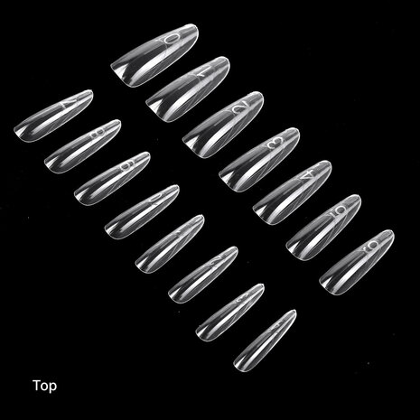 Sandwich Dual Forms - Almond