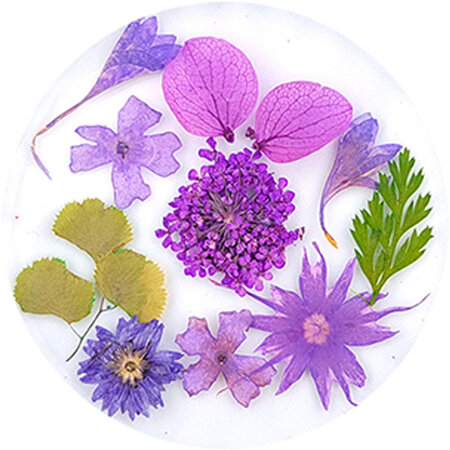 Dried Flowers 05