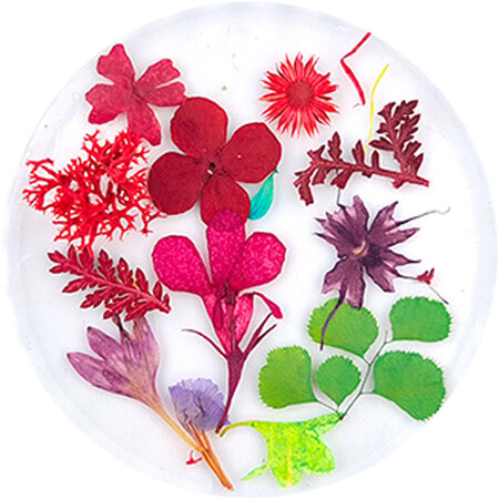 Dried Flowers 09