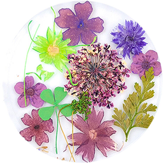 Dried Flowers 02