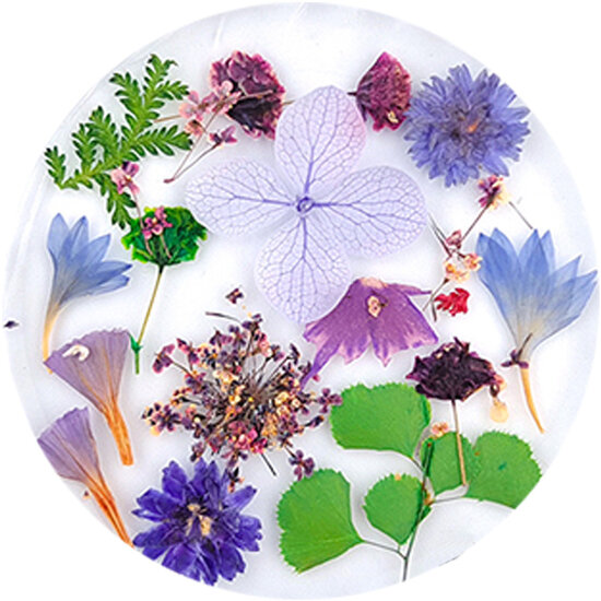 Dried Flowers 07