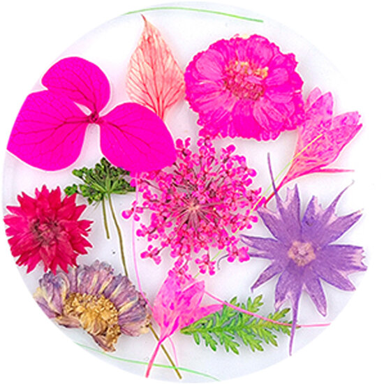 Dried Flowers 10