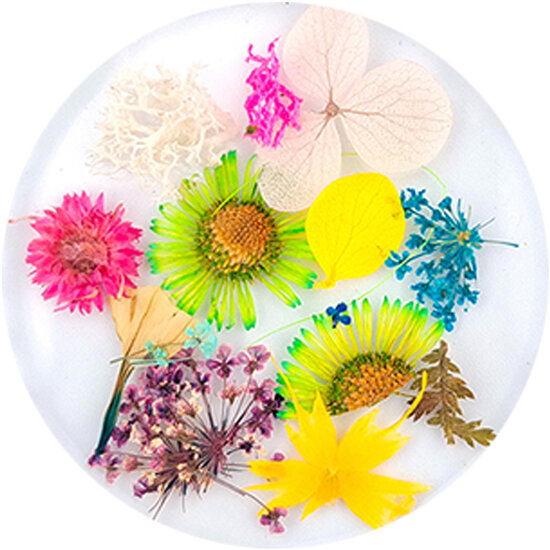 Dried Flowers 11