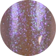 Enchanted gel polish 05