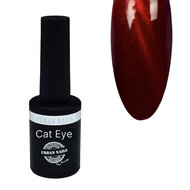 Urban Nails Cat Eye Gel Polish 60 8g