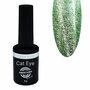 Brilliant Cat Eye Gel Polish 05 8g