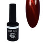 Urban Nails Cat Eye Gel Polish 60 8g