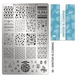 Moyra Stamping Plate 36 - Winter is coming