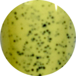Be Jeweled Gelpolish Sandy G 04 Geel