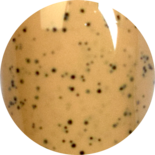 Be Jeweled Gelpolish Sandy G 03 Peach