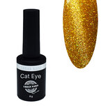 Brilliant Cat Eye Gel Polish 10 8g