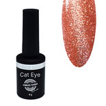 Brilliant Cat Eye Gel Polish 15 8g