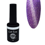 Brilliant Cat Eye Gel Polish 21 8g